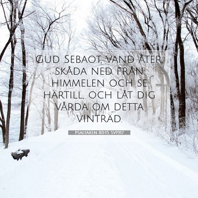 Picture 07 - Psaltaren 80:15 SV1917 - Gud Sebaot, vänd åter, skåda ned från - Bible Verse Picture