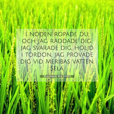 Picture 07 - Psaltaren 81:8 SV1917 - I nöden ropade du, och jag räddade dig; jag - Bible Verse Picture