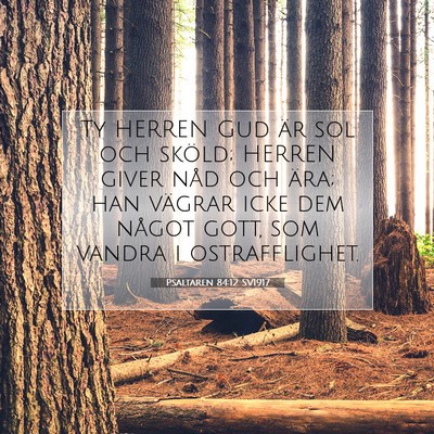 Picture 07 - Psaltaren 84:12 SV1917 - Ty HERREN Gud är sol och sköld; HERREN giver - Bible Verse Picture