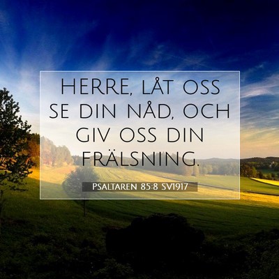 Picture 07 - Psaltaren 85:8 SV1917 - HERRE, låt oss se din nåd, och giv oss din - Bible Verse Picture