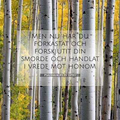 Picture 07 - Psaltaren 89:39 SV1917 - Men nu har du förkastat och förskjutit din - Bible Verse Picture