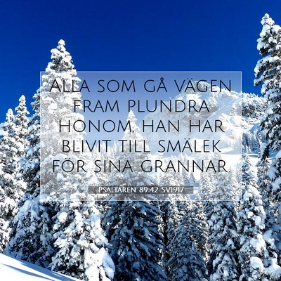 Picture 07 - Psaltaren 89:42 SV1917 - Alla som gå vägen fram plundra honom, han har - Bible Verse Picture