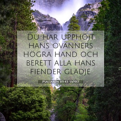 Picture 07 - Psaltaren 89:43 SV1917 - Du har upphöjt hans ovänners högra hand och - Bible Verse Picture