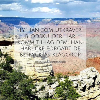 Picture 07 - Psaltaren 9:13 SV1917 - Ty han som utkräver blodskulder har kommit ihåg - Bible Verse Picture