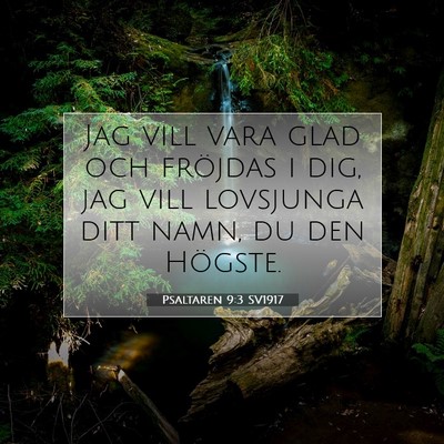 Picture 07 - Psaltaren 9:3 SV1917 - Jag vill vara glad och fröjdas i dig, jag vill - Bible Verse Picture