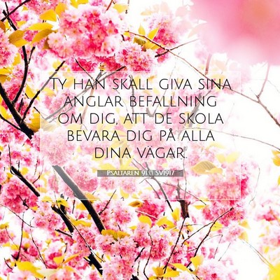 Picture 07 - Psaltaren 91:11 SV1917 - Ty han skall giva sina änglar befallning om dig, - Bible Verse Picture