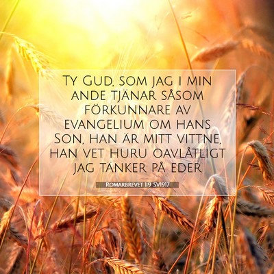 Picture 07 - Romarbrevet 1:9 SV1917 - Ty Gud, som jag i min ande tjänar såsom - Bible Verse Picture