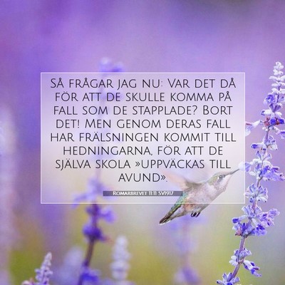 Picture 07 - Romarbrevet 11:11 SV1917 - Så frågar jag nu: Var det då för att de - Bible Verse Picture