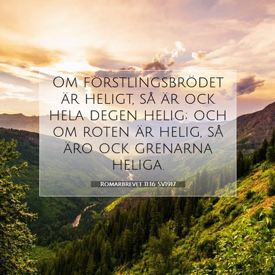 Picture 07 - Romarbrevet 11:16 SV1917 - Om förstlingsbrödet är heligt, så är ock - Bible Verse Picture