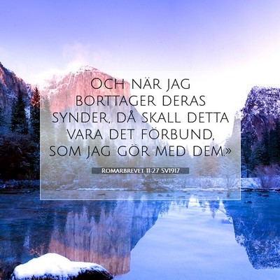 Picture 07 - Romarbrevet 11:27 SV1917 - Och när jag borttager deras synder, då skall - Bible Verse Picture