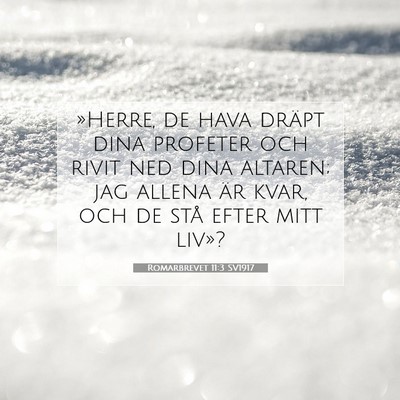 Picture 07 - Romarbrevet 11:3 SV1917 - »Herre, de hava dräpt dina profeter och rivit - Bible Verse Picture
