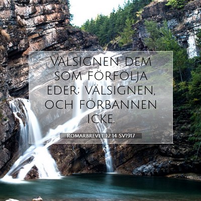 Picture 07 - Romarbrevet 12:14 SV1917 - Välsignen dem som förfölja eder; välsignen, - Bible Verse Picture