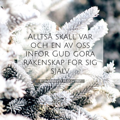 Picture 07 - Romarbrevet 14:12 SV1917 - Alltså skall var och en av oss inför Gud göra - Bible Verse Picture