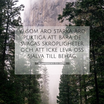 Picture 07 - Romarbrevet 15:1 SV1917 - Vi som äro starka äro pliktiga att bära de - Bible Verse Picture