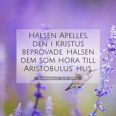 Picture 07 - Romarbrevet 16:10 SV1917 - Hälsen Apelles, den i Kristus beprövade. - Bible Verse Picture