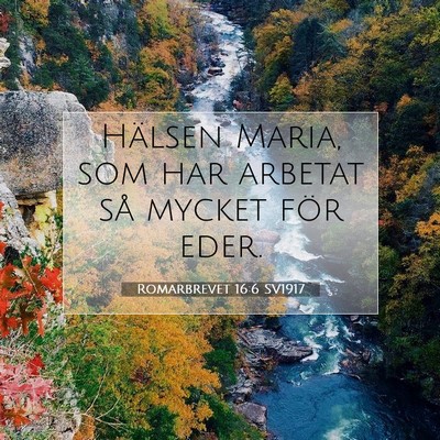 Picture 07 - Romarbrevet 16:6 SV1917 - Hälsen Maria, som har arbetat så mycket för - Bible Verse Picture