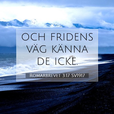 Picture 07 - Romarbrevet 3:17 SV1917 - och fridens väg känna de - Bible Verse Picture