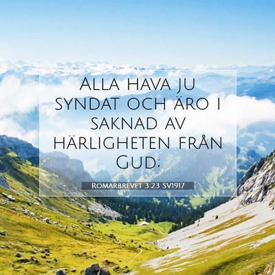 Picture 07 - Romarbrevet 3:23 SV1917 - Alla hava ju syndat och äro i saknad av - Bible Verse Picture