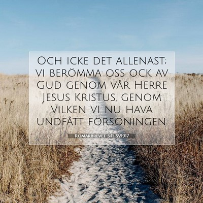 Picture 07 - Romarbrevet 5:11 SV1917 - Och icke det allenast; vi berömma oss ock av Gud - Bible Verse Picture