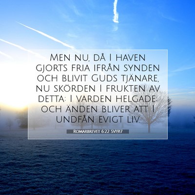 Picture 07 - Romarbrevet 6:22 SV1917 - Men nu, då I haven gjorts fria ifrån synden och - Bible Verse Picture