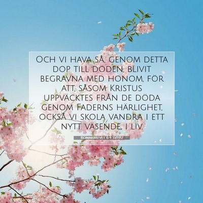 Picture 07 - Romarbrevet 6:4 SV1917 - Och vi hava så, genom detta dop till döden, - Bible Verse Picture