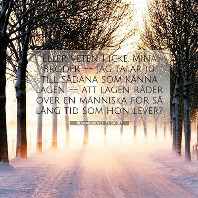 Picture 07 - Romarbrevet 7:1 SV1917 - Eller veten I icke, mina bröder -- jag talar ju - Bible Verse Picture