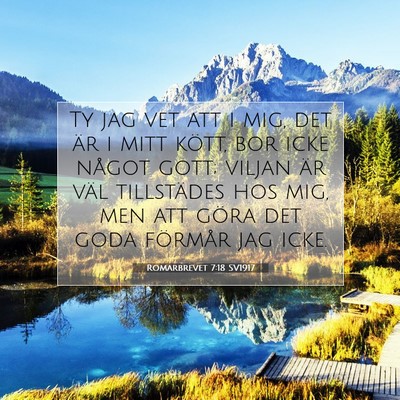 Picture 07 - Romarbrevet 7:18 SV1917 - Ty jag vet att i mig, det är i mitt kött, bor - Bible Verse Picture