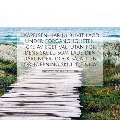 Picture 07 - Romarbrevet 8:20 SV1917 - Skapelsen har ju blivit lagd under - Bible Verse Picture