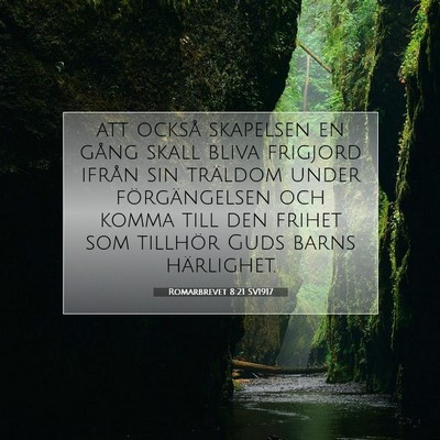 Picture 07 - Romarbrevet 8:21 SV1917 - att också skapelsen en gång skall bliva - Bible Verse Picture