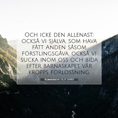 Picture 07 - Romarbrevet 8:23 SV1917 - Och icke den allenast; också vi själva, som - Bible Verse Picture