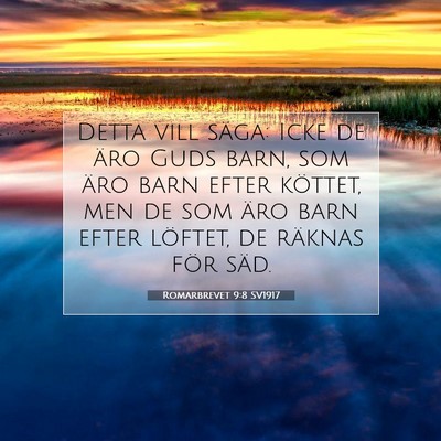 Picture 07 - Romarbrevet 9:8 SV1917 - Detta vill säga: Icke de äro Guds barn, som - Bible Verse Picture