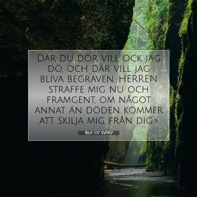 Picture 07 - Rut 1:17 SV1917 - Där du dör vill ock jag dö, och där vill jag - Bible Verse Picture