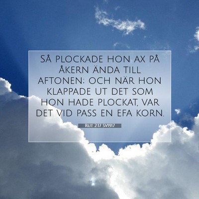 Picture 07 - Rut 2:17 SV1917 - Så plockade hon ax på åkern ända till - Bible Verse Picture