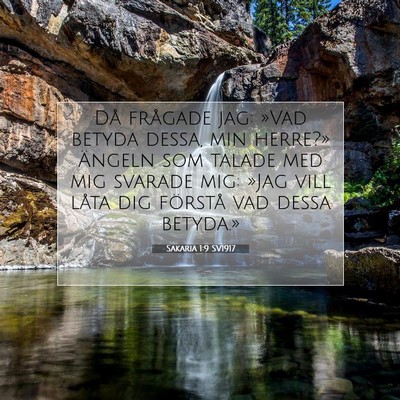 Picture 07 - Sakaria 1:9 SV1917 - Då frågade jag: »Vad betyda dessa, min - Bible Verse Picture