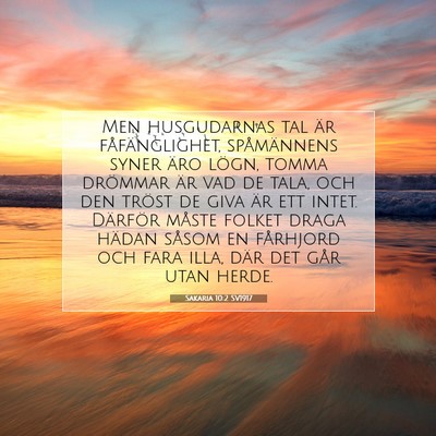 Picture 07 - Sakaria 10:2 SV1917 - Men husgudarnas tal är fåfänglighet, - Bible Verse Picture