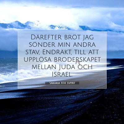 Picture 07 - Sakaria 11:14 SV1917 - Därefter bröt jag sönder min andra stav, - Bible Verse Picture