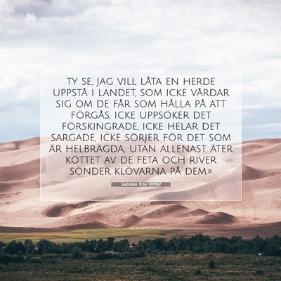 Picture 07 - Sakaria 11:16 SV1917 - ty se, jag vill låta en herde uppstå i landet, - Bible Verse Picture