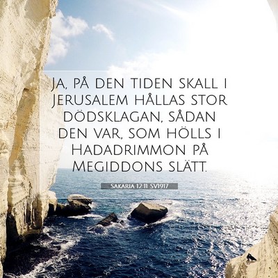Picture 07 - Sakaria 12:11 SV1917 - Ja, på den tiden skall i Jerusalem hållas stor - Bible Verse Picture