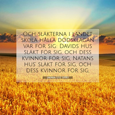 Picture 07 - Sakaria 12:12 SV1917 - Och släkterna i landet skola hålla dödsklagan - Bible Verse Picture