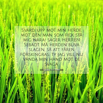 Picture 07 - Sakaria 13:7 SV1917 - Svärd, upp mot min herde, mot den man som fick - Bible Verse Picture