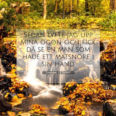 Picture 07 - Sakaria 2:1 SV1917 - Sedan lyfte jag upp mina ögon och fick då se en - Bible Verse Picture