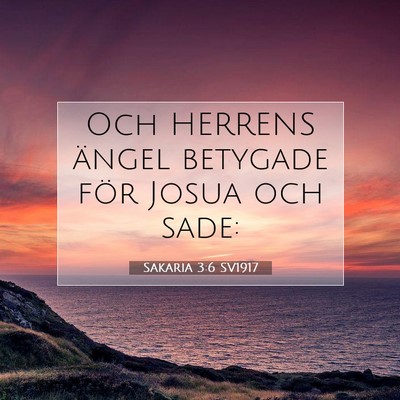 Picture 07 - Sakaria 3:6 SV1917 - Och HERRENS ängel betygade för Josua och - Bible Verse Picture