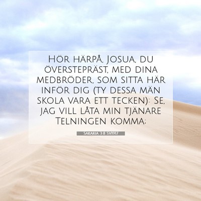 Picture 07 - Sakaria 3:8 SV1917 - Hör härpå, Josua, du överstepräst, med dina - Bible Verse Picture