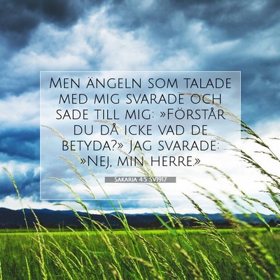 Picture 07 - Sakaria 4:5 SV1917 - Men ängeln som talade med mig svarade och sade - Bible Verse Picture