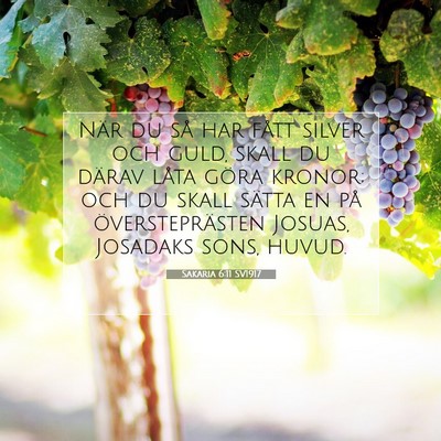 Picture 07 - Sakaria 6:11 SV1917 - När du så har fått silver och guld, skall du - Bible Verse Picture
