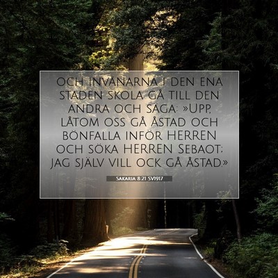 Picture 07 - Sakaria 8:21 SV1917 - och invånarna i den ena staden skola gå till - Bible Verse Picture