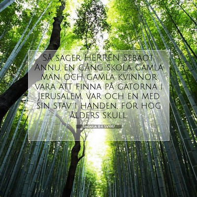 Picture 07 - Sakaria 8:4 SV1917 - Så säger HERREN Sebaot: Ännu en gång skola - Bible Verse Picture