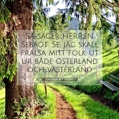 Picture 07 - Sakaria 8:7 SV1917 - Så säger HERREN Sebaot: Se, jag skall frälsa - Bible Verse Picture