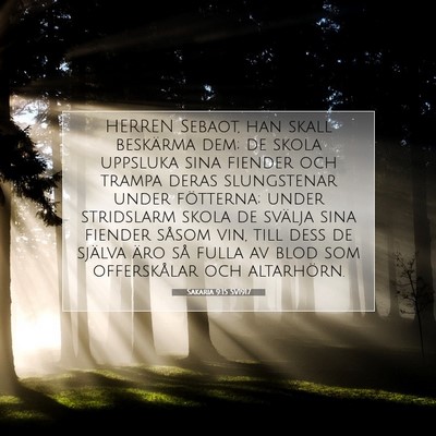 Picture 07 - Sakaria 9:15 SV1917 - HERREN Sebaot, han skall beskärma dem; de skola - Bible Verse Picture