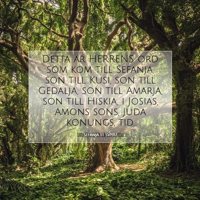Picture 07 - Sefanja 1:1 SV1917 - Detta är HERRENS ord som kom till Sefanja, son - Bible Verse Picture